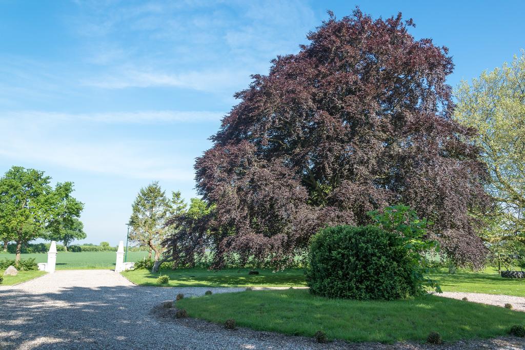 Ferienhof Kolauerhof - Bauernhofurlaub In Groemitz Luaran gambar