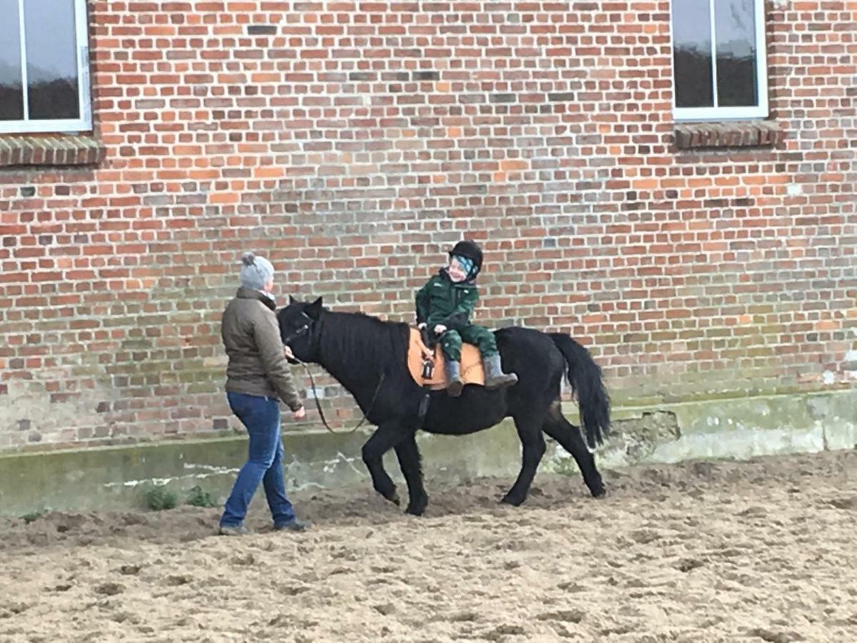 Ferienhof Kolauerhof - Bauernhofurlaub In Groemitz Luaran gambar